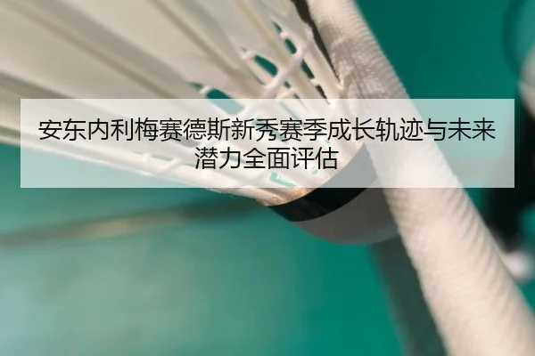 安东内利梅赛德斯新秀赛季成长轨迹与未来潜力全面评估